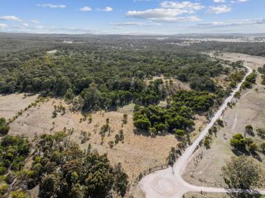 Farm For Sale - NSW - Quialigo - 2580 - LIFESTYLE BLOCK  (Image 2)