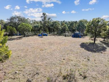 Farm For Sale - NSW - Quialigo - 2580 - LIFESTYLE BLOCK  (Image 2)