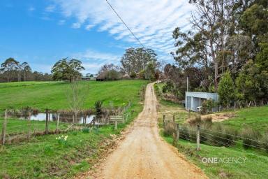 Farm For Sale - TAS - Mount Hicks - 7325 - Open Home Sat 21st Sep 11:00am - 11:30am  (Image 2)