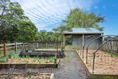 Farm For Sale - TAS - Mount Hicks - 7325 - Take Me Home Country Roads!  (Image 2)