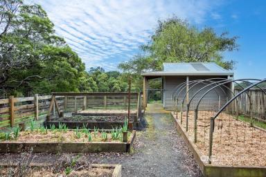 Farm For Sale - TAS - Mount Hicks - 7325 - Open Home Sat 21st Sep 11:00am - 11:30am  (Image 2)