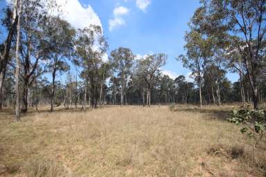 Farm For Sale - QLD - Brovinia - 4626 - Starter Breeder Block - 30 Minutes Mundubbera  (Image 2)