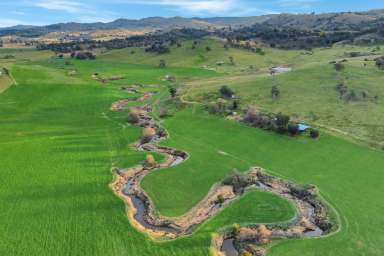 Farm For Sale - NSW - Reids Flat - 2586 - 412ACRE* HIGH QUALITY GRAZING AND ALLUVIAL CREEK FRONTAGE COUNTRY!  (Image 2)