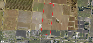 Farm For Sale - QLD - Bowen - 4805 - Delta Farms - Grow any Crop You Desire  (Image 2)