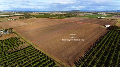 Farm For Sale - QLD - Bowen - 4805 - Delta Farms - Grow any Crop You Desire  (Image 2)