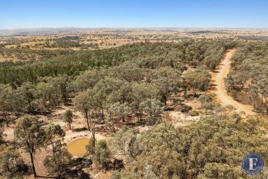 Farm For Sale - NSW - Godfreys Creek - 2586 - Bush Hideaway  (Image 2)