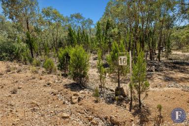 Farm For Sale - NSW - Godfreys Creek - 2586 - Bush Hideaway  (Image 2)