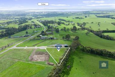 Farm For Sale - VIC - Elliminyt - 3250 - Views As Far As The Eye Can See...  (Image 2)