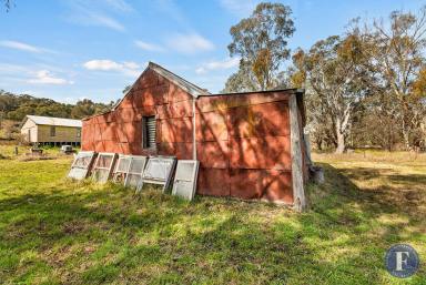 Farm For Sale - NSW - Rugby - 2583 - Unique Rabbiters Hut On 19 Acres  (Image 2)