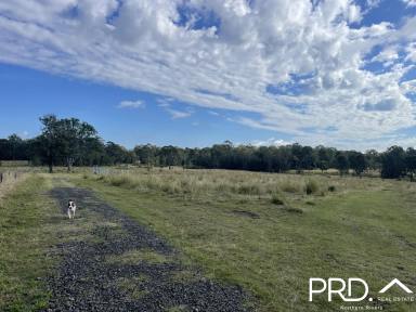 Farm For Sale - NSW - Yorklea - 2470 - 185+ Fertile Acres  (Image 2)