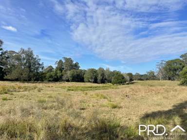 Farm For Sale - NSW - Yorklea - 2470 - 185+ Fertile Acres  (Image 2)