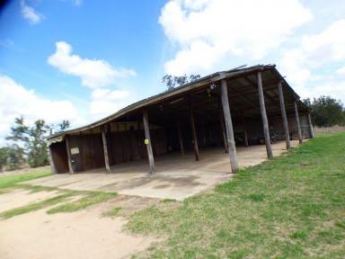 Farm For Sale - QLD - Gayndah - 4625 - The future of this property is in the buyers hands  (Image 2)