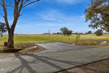 Farm For Sale - VIC - Goornong - 3557 - New land release - Rural Living Zoning - 22.4 acres  (Image 2)