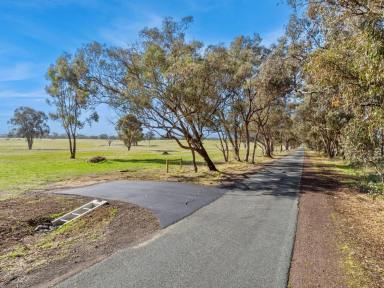 Farm For Sale - VIC - Goornong - 3557 - New land release - Rural Living Zoning - 12.5 acres  (Image 2)