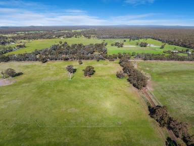 Farm For Sale - VIC - Goornong - 3557 - New land release - Rural Living Zoning - 12.5 acres  (Image 2)