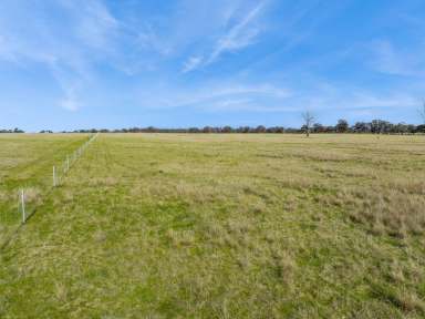 Farm For Sale - VIC - Goornong - 3557 - New land release - Rural Living Zoning - 26.8 acres  (Image 2)