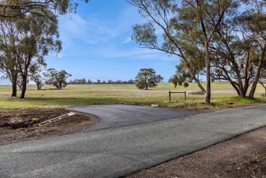 Farm For Sale - VIC - Goornong - 3557 - New land release - Rural Living Zoning - 15.6 acres  (Image 2)