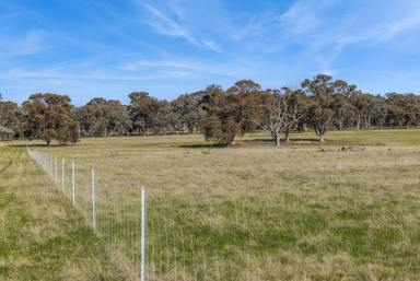 Farm For Sale - VIC - Goornong - 3557 - New land release - Rural Living Zoning - 15.6 acres  (Image 2)