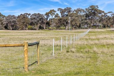 Farm For Sale - VIC - Goornong - 3557 - New land release - Rural Living Zoning - 28.6 acres  (Image 2)