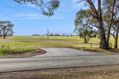 Farm For Sale - VIC - Goornong - 3557 - New land release - Rural Living Zoning - 28.6 acres  (Image 2)