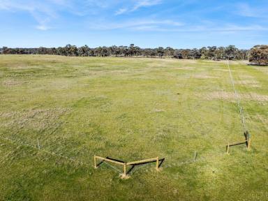 Farm For Sale - VIC - Goornong - 3557 - New land release - Rural Living Zoning - 15.1 acres  (Image 2)