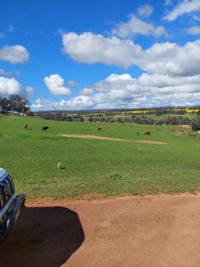 Farm For Sale - WA - Hastings - 6308 - Rural Acreage Just An Hour From Armadale  (Image 2)