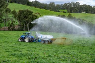 Farm Auction - NSW - Dorrigo - 2453 - High Rainfall, High Performance, High Profits  (Image 2)