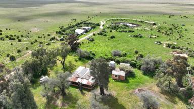 Farm Auction - NSW - Carrathool - 2711 - "The Willows" | Riverina Breeding & Grazing Holding  (Image 2)