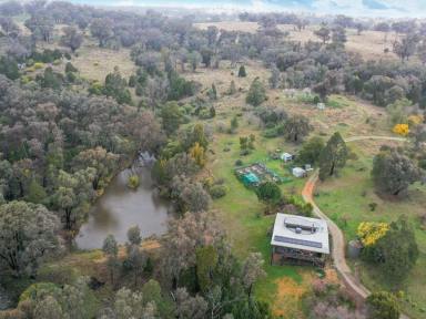 Farm Auction - NSW - Crowther - 2803 - 140 Unique acres 25 mins to Young & Cowra  (Image 2)