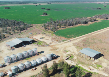 Farm For Sale - QLD - North Bungunya - 4494 - Quality mixed cropping and livestock operation.  (Image 2)