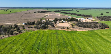 Farm For Sale - QLD - North Bungunya - 4494 - Quality mixed cropping and livestock operation.  (Image 2)