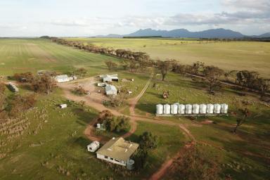 Farm For Sale - WA - Amelup - 6338 - The Estate of MP Slade (Blacks and Talyat)  (Image 2)