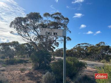 Farm For Sale - SA - Bower - 5374 - SECTION 166 EMU WALK ( OFF THIELE HIGHWAY ) BOWER  (Image 2)