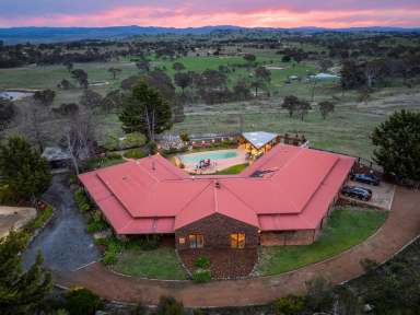 Farm For Sale - NSW - Wallaroo - 2618 - Our Age and Health = Forces Downsize  (Image 2)