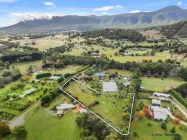 Farm For Sale - VIC - Buxton - 3711 - The view says it all!  (Image 2)