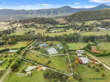 Farm For Sale - VIC - Buxton - 3711 - The view says it all!  (Image 2)