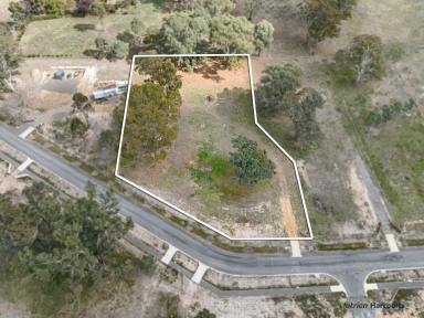 Farm For Sale - VIC - Alexandra - 3714 - Where I want to live.  (Image 2)