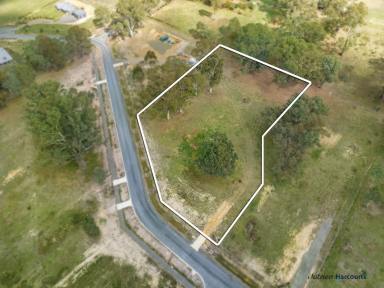 Farm For Sale - VIC - Alexandra - 3714 - Where I want to live.  (Image 2)