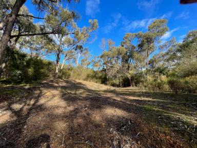 Farm For Sale - VIC - Taylor Bay - 3713 - Bush Hideaway at Lake Eildon!  (Image 2)