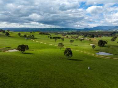 Farm For Sale - VIC - Taggerty - 3714 - "Arcoona" Premium Grazing Property!  (Image 2)