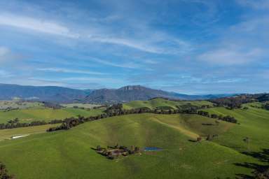 Farm For Sale - VIC - Taggerty - 3714 - "Arcoona" Premium Grazing Property!  (Image 2)