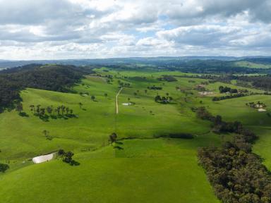 Farm For Sale - VIC - Taggerty - 3714 - "Arcoona" Private Grazing  (Image 2)