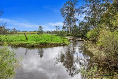 Farm Tender - VIC - Thornton - 3712 - Exceptionally Rare - Expansive River Frontage with Breathtaking Views!  (Image 2)