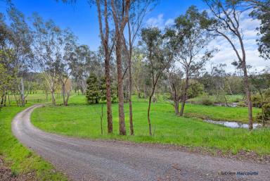 Farm Tender - VIC - Thornton - 3712 - Exceptionally Rare - Expansive River Frontage with Breathtaking Views!  (Image 2)