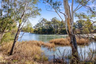 Farm For Sale - VIC - Snobs Creek - 3714 - "The Horny Stag Winery"  (Image 2)