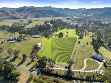 Farm For Sale - VIC - Snobs Creek - 3714 - "The Horny Stag Winery"  (Image 2)