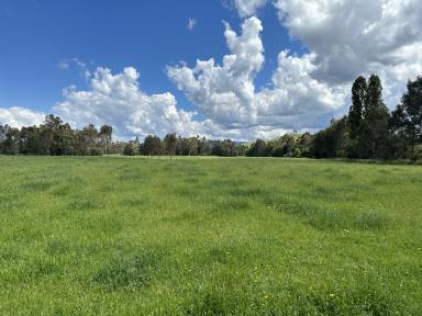 Farm For Sale - VIC - Taggerty - 3714 - Acheron river bend!  (Image 2)