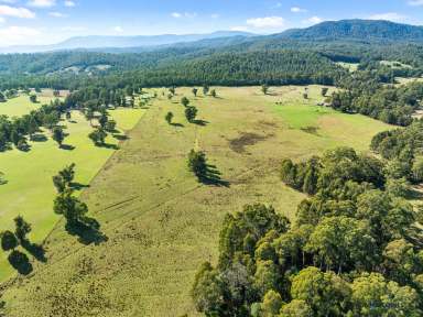 Farm For Sale - VIC - Narbethong - 3778 - Acheron River Frontage  (Image 2)