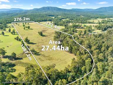 Farm For Sale - VIC - Narbethong - 3778 - Acheron River Frontage  (Image 2)