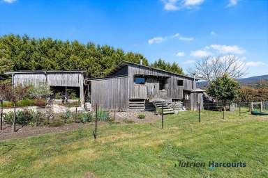 Farm For Sale - VIC - Buxton - 3711 - Historic Woolshed Building Opportunity!  (Image 2)